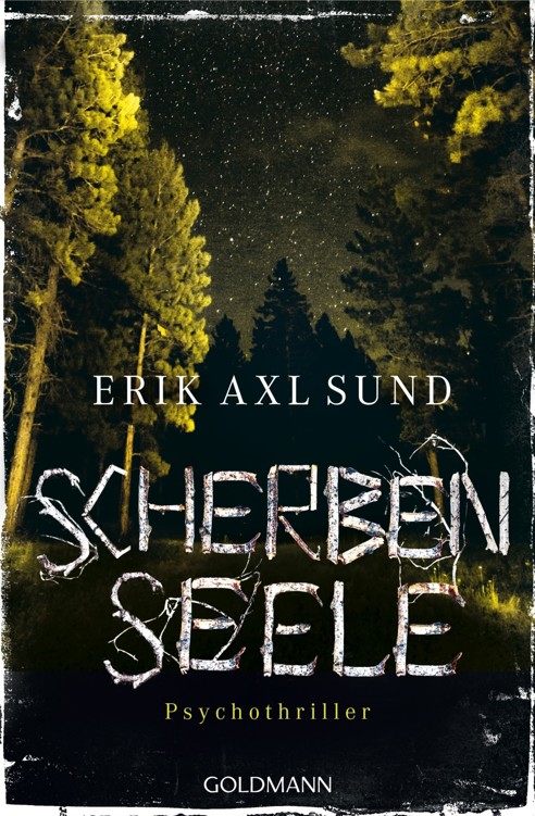 XXL-Leseprobe: Scherbenseele: Psychothriller