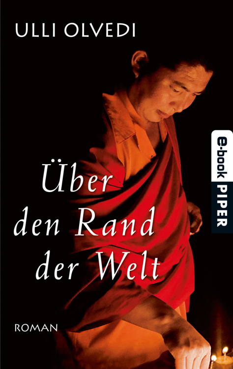 Über den Rand der Welt: Roman