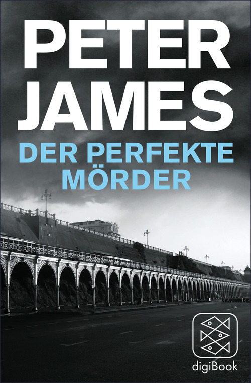 Der perfekte Mörder: Kurzroman (nur als E-Book erhältlich)