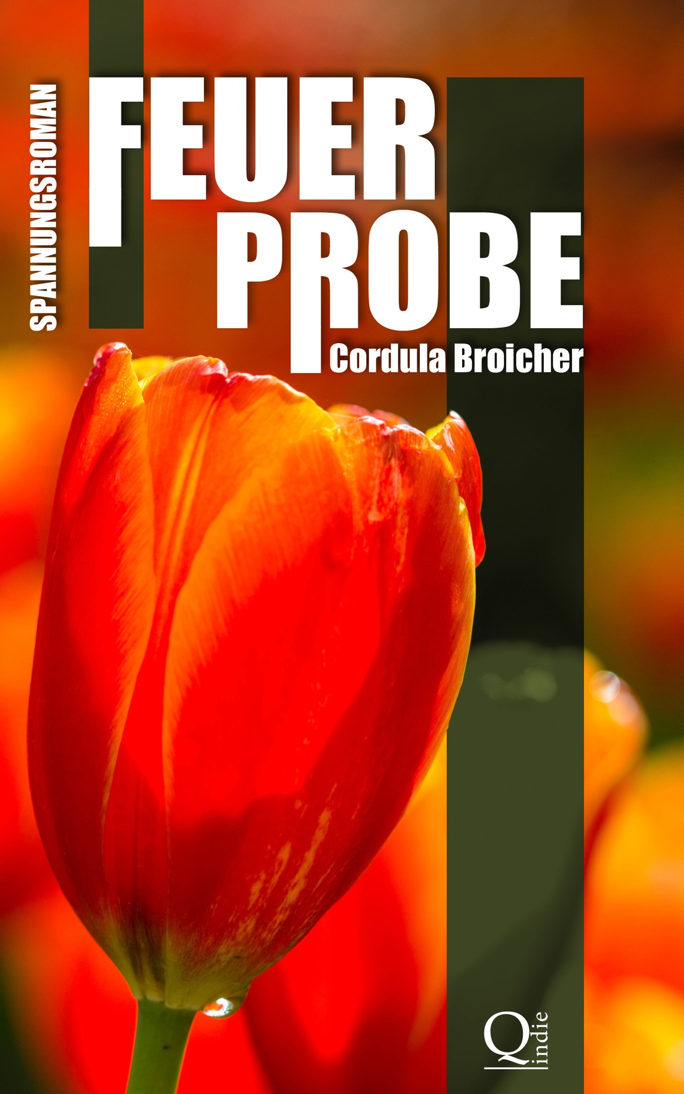 Feuerprobe: Spannungsroman