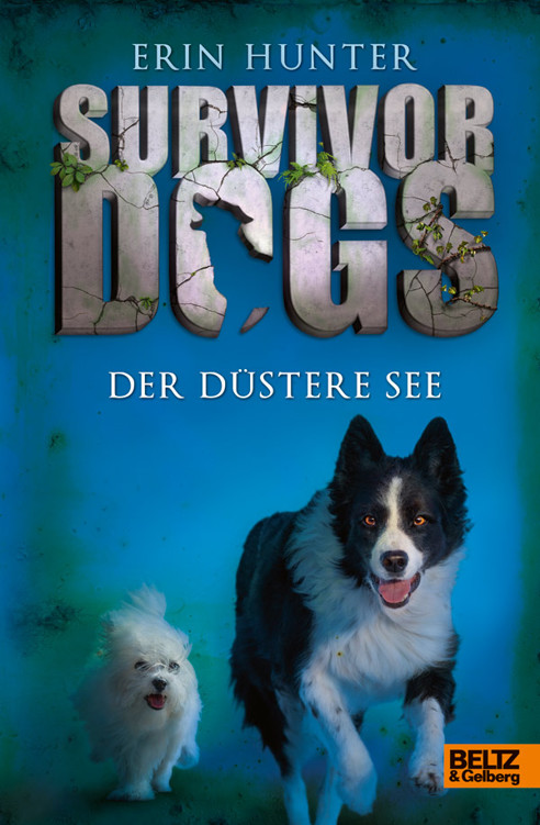 Der Düstere See