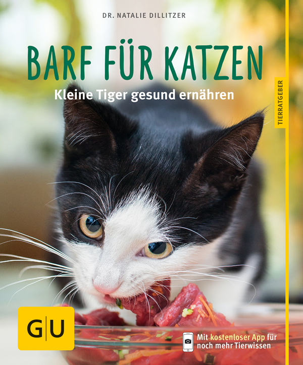 Barf für Katzen: Kleine Tiger gesund ernähren