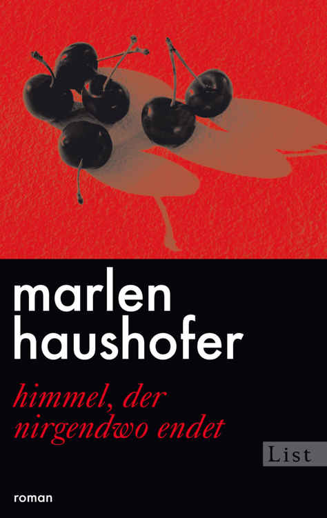 Himmel, der nirgendwo endet: Roman