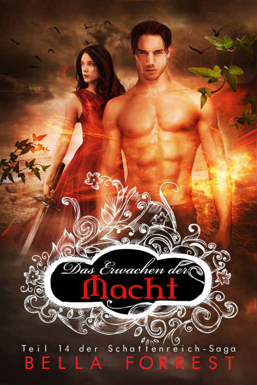 Das Schattenreich der Vampire 14: Das Erwachen der Macht