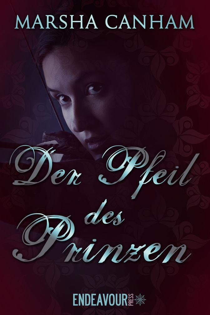 Der Pfeil des Prinzen