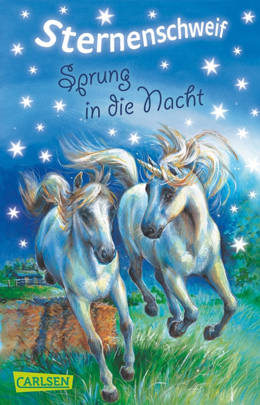 Sternenschweif 02: Sprung in die Nacht