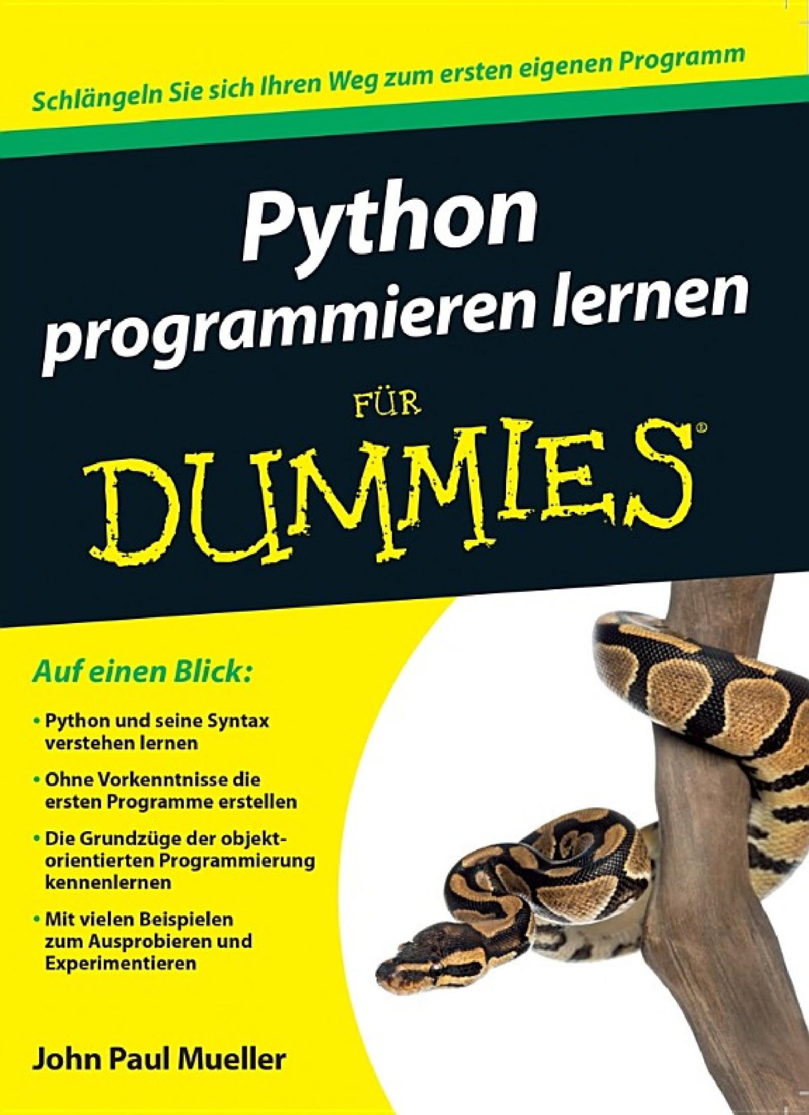 Python programmieren lernen für Dummies