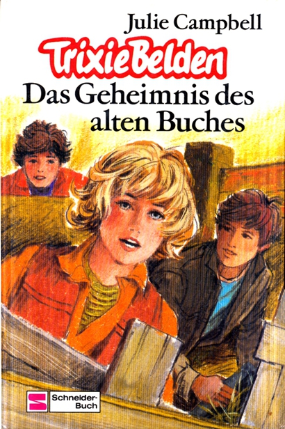 Das Geheimnis des alten Buches