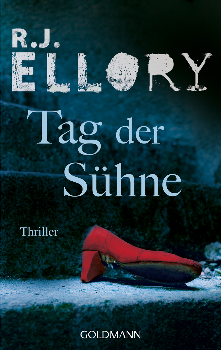 tag der suehne r.j. ellory