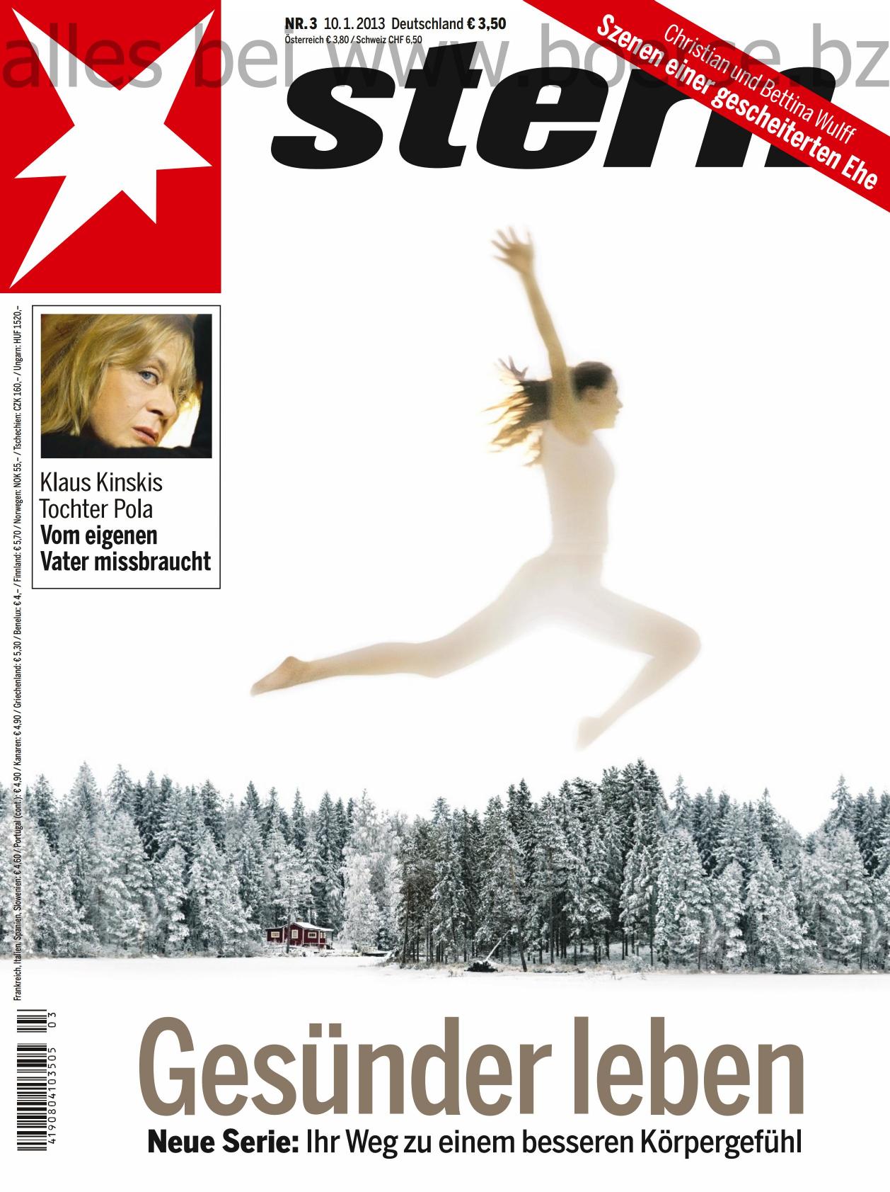 Stern Nr. 03/2013