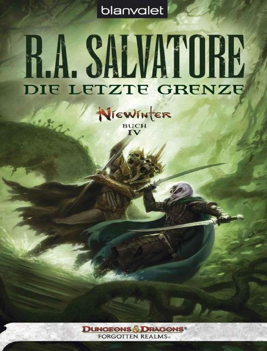 Niewinter - Band 4 - Die letzte Grenze