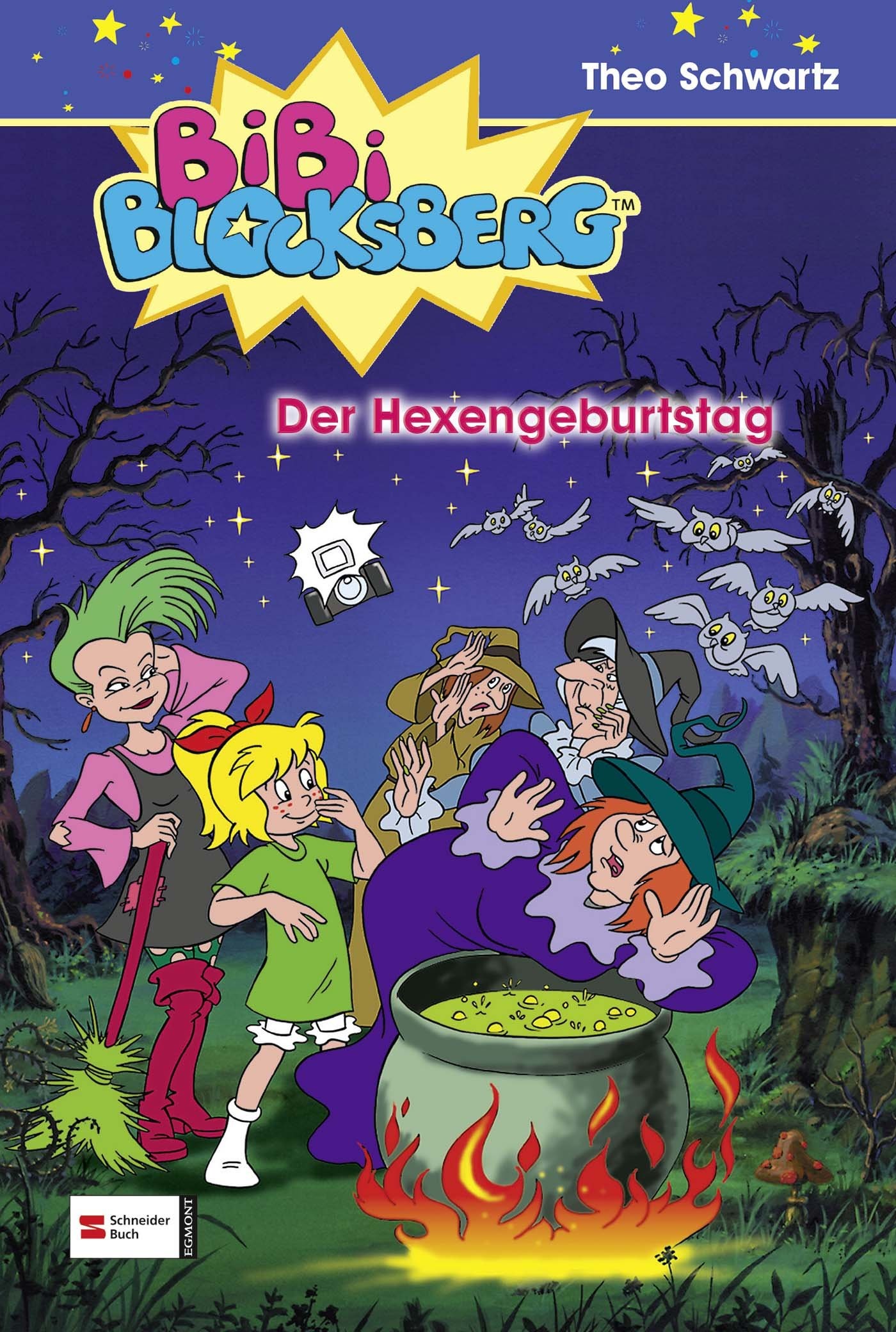 Bibi Blocksberg, Bd.2, Der Hexengeburtstag