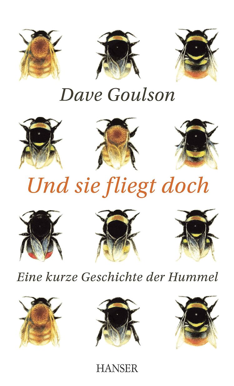Und sie fliegt doch: Eine kurze Geschichte der Hummel