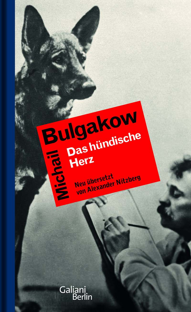 Das hündische Herz: Eine fürchterliche Geschichte