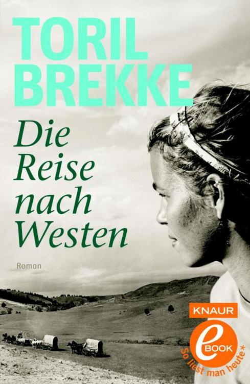 Die Reise nach Westen: Roman