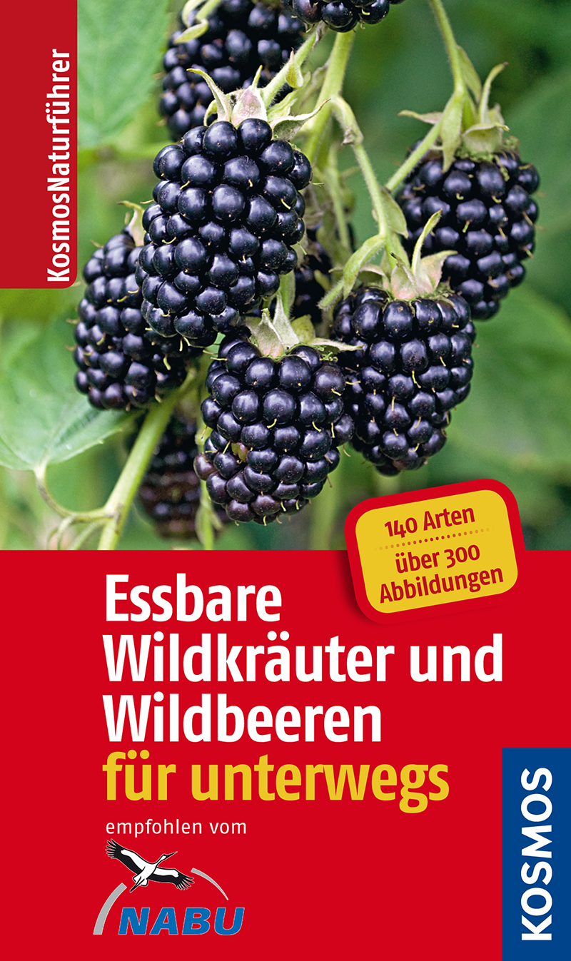 Essbare Wildkräuter und Wildbeeren für unterwegs: 140 Arten, über 300 Abbildungen